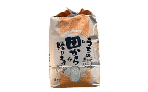 【先行予約】 令和6年産 至福のササニシキ（精米） 10kg 米 お米 おこめ 山形県 新庄市 F3S-2159