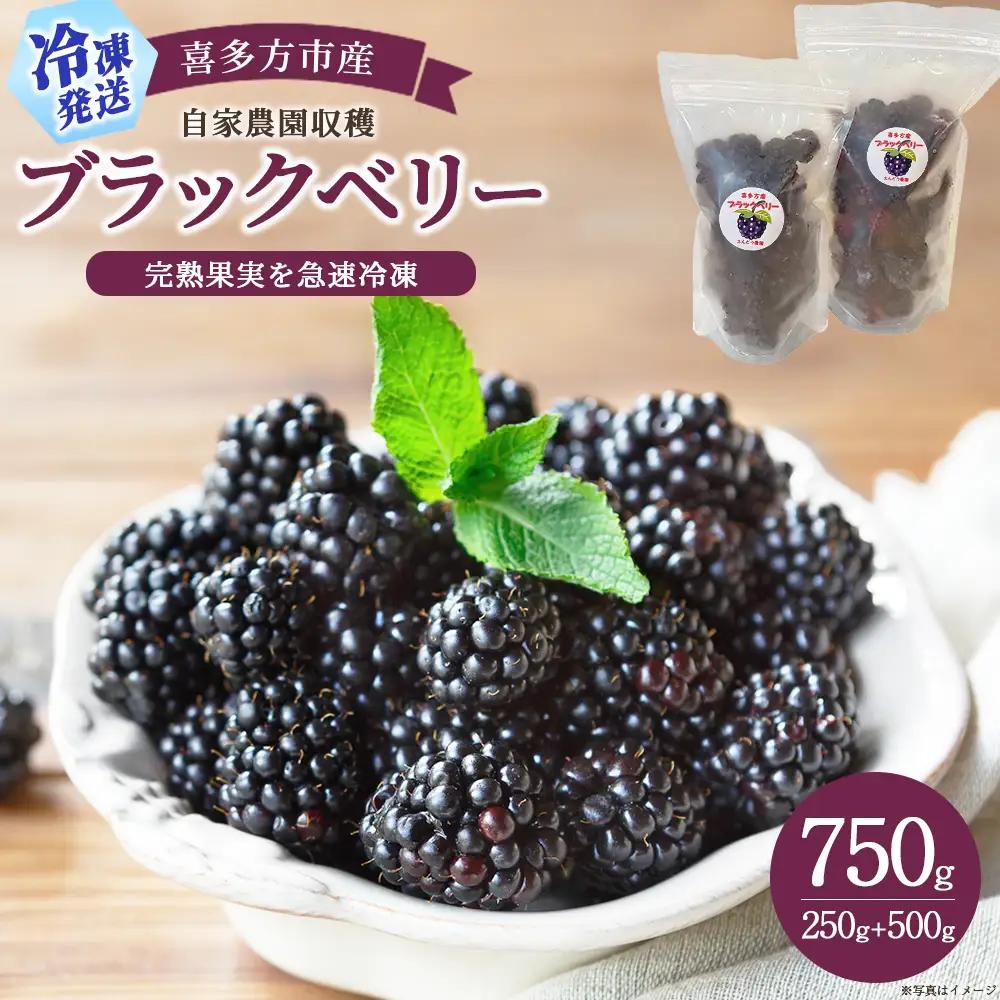 【冷凍】喜多方市産ブラックベリー　750g(500g・250g各1袋)　【07208-1040】