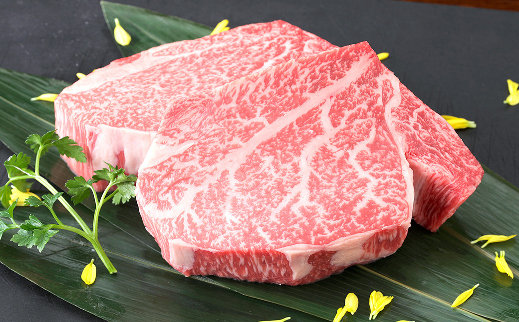 
                  くまもと黒毛和牛 ヒレステーキ 400g （200g×2パック） 国産 熊本 和牛 牛肉 牛 ヒレ ステーキ 肉 お肉 冷凍
                