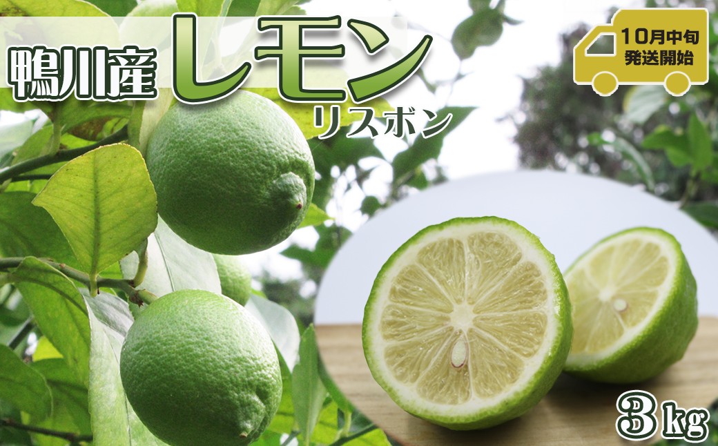 
                  【令和7年10月下旬発送／先行予約】刈込園芸 鴨川産レモン『リスボン』３kg　[0010-0277]
                