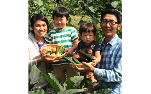 【定期便3回】子育て農家の野菜セット（Mサイズ）農薬・化学肥料不使用 | 定期便 無農薬 野菜 やさい 長野県 松本市 信州産 ふるさと納税