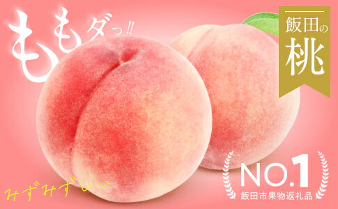 【ふるさと納税】南信州産 桃【あかつき】3kg | 果物 くだもの フルーツ 桃 もも あかつき ジューシー 長野県 信州 飯田市