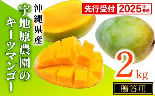 【贈答用】【先行受付・2025年発送】宇地原農園の沖縄県産キーツマンゴー約2kg