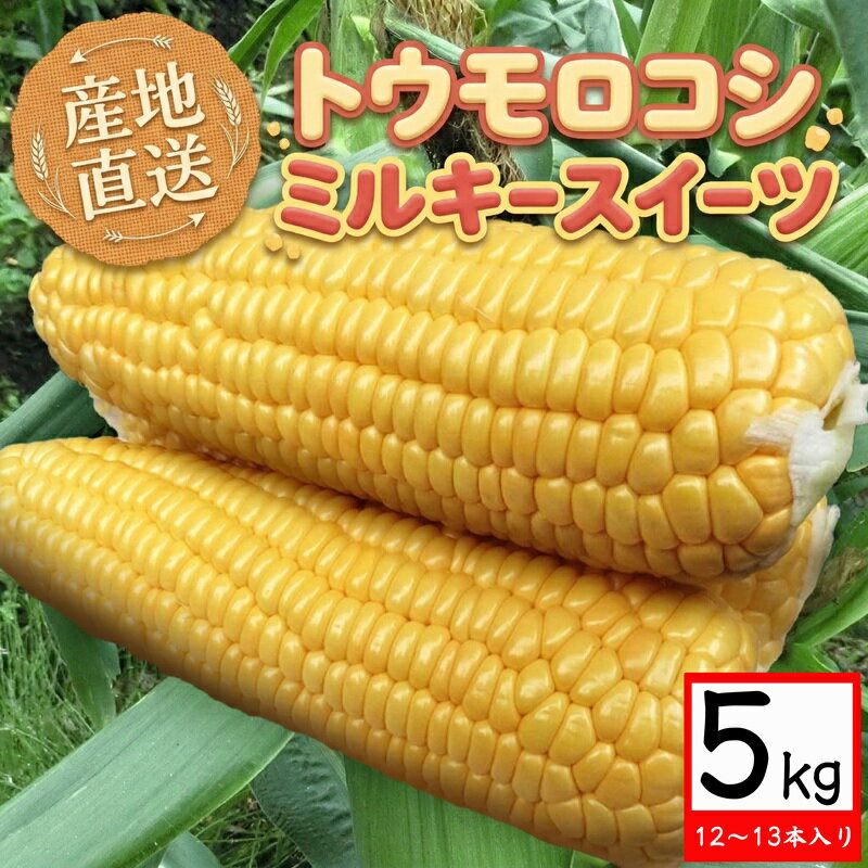 【ふるさと納税】【 産地直送 】 トウモロコシ 「 ミルキースイーツ 」 5kg 先行予約 新鮮 皮付き とうもろこし コーン 野菜