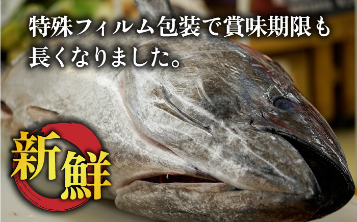 五島列島産 養殖 生本かみマグロ 赤身 300g / マグロ まぐろ 鮪 刺身 ブロック