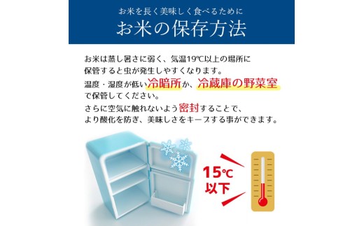 【栃木県共通返礼品】【先行予約】【定期2回】 訳あり 数量 限定 令和8年度産 ミルキークイーン 約 10kg | とちぎの星 ミルキークイーン  玄米 白米 ごはん おいしい  ふるさと納税 那珂川町 栃木県