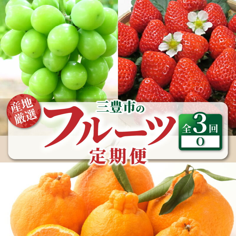 【ふるさと納税】【配送不可地域：北海道・沖縄県・離島】定期便 3回 フルーツ シャインマスカット 1房 三豊市産 厳選品デコポン 簡単 美味しく 食べれる さぬきひめ 4パック いちご 果実 大きい 旬の季節 お届け 香川県 三豊市 お取り寄せ 送料無料 秋 旬
