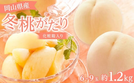【2025年】 岡山県産 冬桃がたり6～9玉 約1.2kg 化粧箱入り