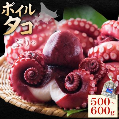 ふるさと納税 日高町 海鮮 日高町産 ボイルタコ 500〜600g 石崎水産 《30日以内に出荷予定(土日祝除く)》