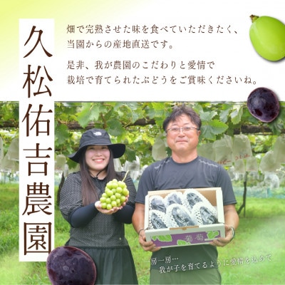 シャインマスカット 約2.8kg (4房)【2026年発送】茨城県産フルーツ 人気のぶどう【配送不可地域：離島・沖縄県】