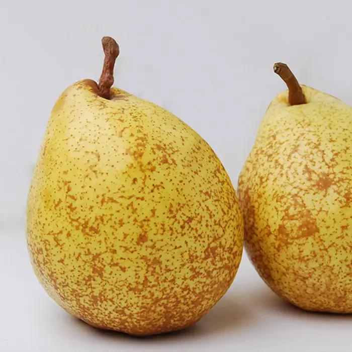 山形の洋梨ゼネラルレクラーク 秀品 約3kg (6～10玉)【令和8年産先行予約】FU23-651 くだもの 果物 フルーツ 山形 山形県 山形市 2026年産