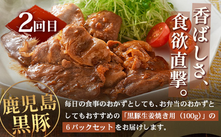 ≪全3回≫ 鹿児島県産 黒豚三昧 定期便 ♪ ＜ 黒豚味噌漬け 生姜焼き 生ハンバーグ ＞ ★☆＼＼ 黒豚ロース味噌漬け バナナマンの早起きせっかくグルメで紹介されました！！／／☆★ 南州農場 かごし