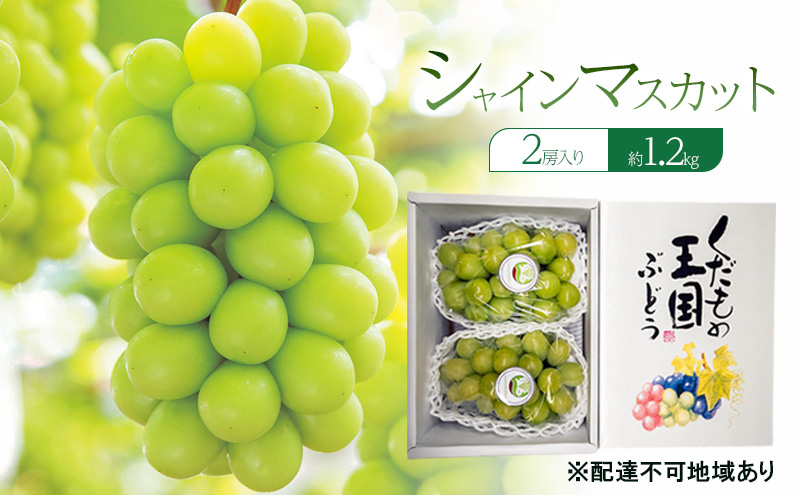 ぶどう 2026年 先行予約 シャインマスカット 2房入り 約1.2kg 岡山県 赤磐市 ブドウ 葡萄 果物 フルーツ