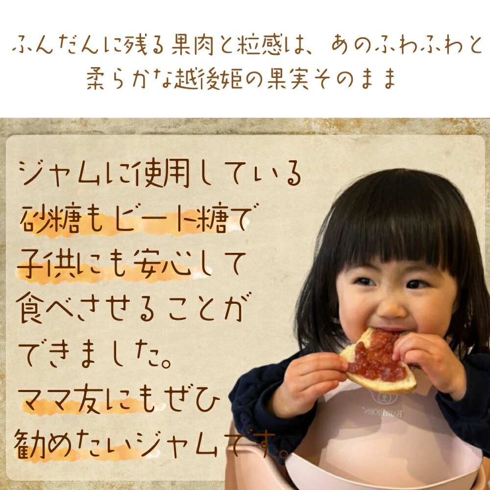 越後姫ジャム3瓶 いちご イチゴ 苺 加工品 お取り寄せ 新潟 苺の花ことば