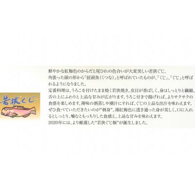 ふるさと納税 小浜市 焼き上げ直ぐのおいしい時に瞬間凍結、若狭の高級魚の若狭グジを一匹姿のまま、包んで焼き上げた和風塩釜焼 |  | 02