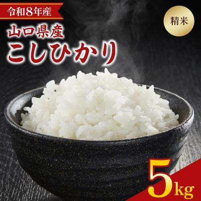 ふるさと納税 下関市 【先行予約】 令和8年産 こしひかり 5kg 山口県 下関市産 MD002