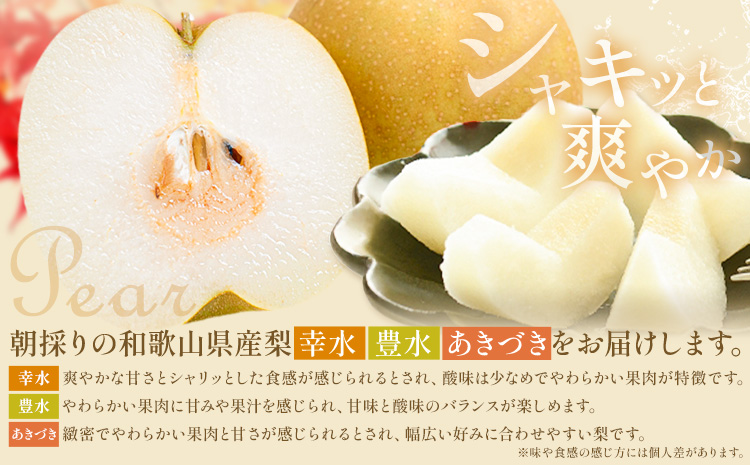 紀州 和歌山県産 旬の フルーツ セット ミニ 2ヶ月定期便 8月・9月配送 桃 3玉 梨 3玉 株式会社魚鶴商店《8月-9月頃出荷》和歌山県 日高川町 もも なし 定期便 果物 旬---wshg_u