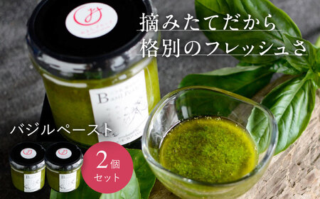 調味料 バジルペースト ２個 [APCX001] 調味料