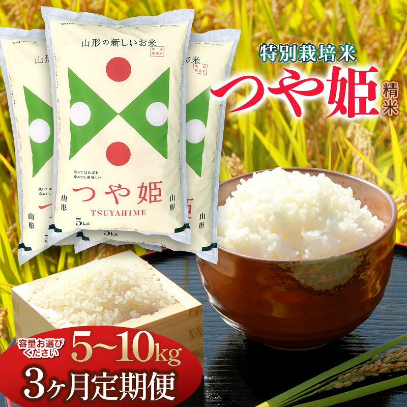 【ふるさと納税】【3ヶ月定期便】令和7年産 特別栽培米 つや姫 精米　容量お選びください［5kg または 10kg］×3回 山形県 庄内産 | 鶴岡市 返礼品 白米 精米 美味しい お米 おいしい おこめ コメ ブランド米 10キロ 名産品 特産品