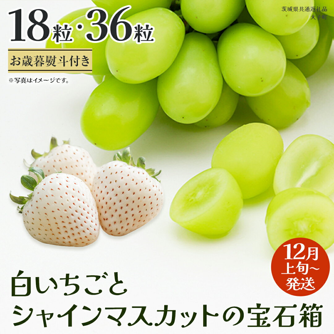 【ふるさと納税】《 選べる 内容量 》【 お歳暮 熨斗付き 】 白いちご と シャインマスカット の宝石箱18粒 / 36粒【2025年12月上旬発送開始】(茨城県共通返礼品：大子町) いちご マスカット 果物 フルーツ 旬 季節限定 期間限定 贈答用 ギフト 贈り物