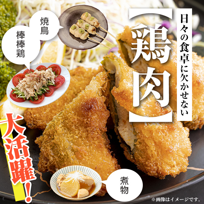 i1094 鹿児島県産 若鶏 ささみ (2kg×2P・計4kg ) 鶏肉 ササミ 国産 九州産 お肉 ダイエット 蒸し料理 チキン ヘルシー 冷凍 鶏ササミ 【まつぼっくり】