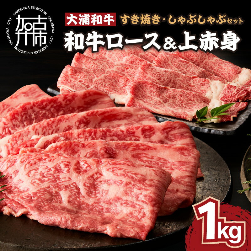 【ふるさと納税】★選べる発送月★大浦和牛すきやき・しゃぶセット（1kg）〈 牛肉 牛 和牛 国産 すき焼き しゃぶしゃぶ セット おすすめ ロース 赤身 美味しい 食べ比べ 選べる 選べる発送月 選べる発送月 〉
