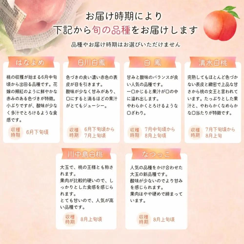 桃 和歌山県産の美味しい桃 11～15玉入【mat100C】