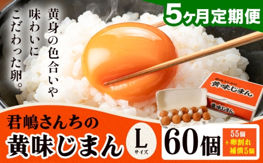 たまご 君嶋さんちの黄身じまん Lサイズ 60個 5ヶ月定期便 《お申込みの翌月から出荷》 君嶋養鶏園 卵 玉子 赤卵 赤たまご 生卵 国産 濃厚 鶏卵 割れ補償 コク 旨味 栃木県 芳賀町