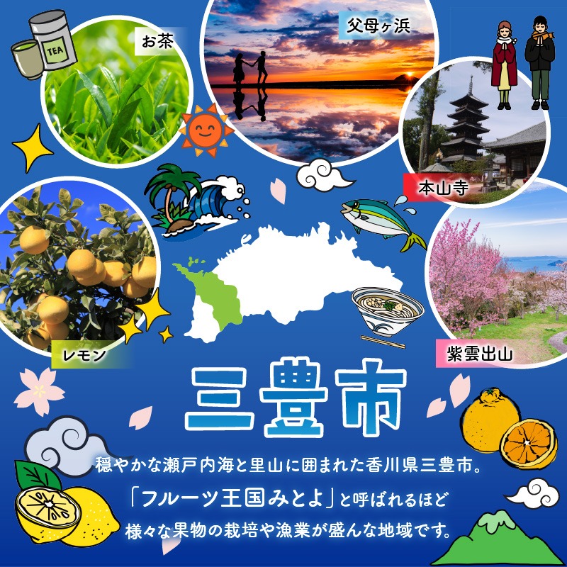 M95-0104_【ふるさと納税】 卵 新鮮【うらしま卵】~竜宮からの贈りもの~たまご50個(45個+割れ補償5個) [ うらしま卵 新鮮 卵 たまご 国産 鶏卵 浦島 産地直送 50個セット 割れ補