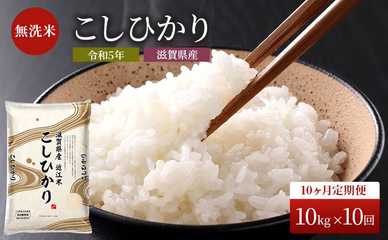 米 定期便 10ヶ月 こしひかり BG無洗米 10kg 令和6年産新米 ふるさと応援特別米 無洗米 お米 こめ コメ おこめ 白米 コシヒカリ 10回 お楽しみ