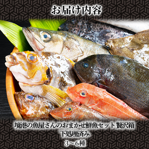 ＜土日祝着※指定日不可＞境港の魚屋さんのおまかせ鮮魚セット 贅沢箱(3～6種) 下処理済み 海鮮 鮮魚 詰め合わせ 海の幸【sm-DD013・sm-DD014】【Workplays】