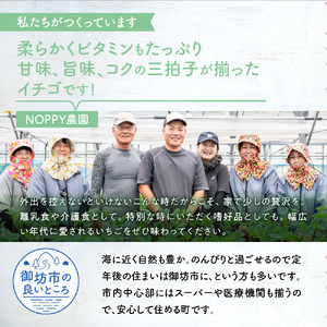 《2月発送土日祝》農家直送 完熟まりひめ（和歌山県オリジナルブランド いちご）4パック 【配送不可地域：北海道・沖縄・離島】