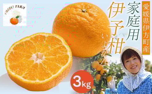 【先行予約】【家庭用】伊予柑 3kg ※北海道・沖縄・離島への配送不可 （2026年1月中旬より順次発送予定）  【 ふるさと納税 人気 おすすめ ランキング 柑橘 みかん ミカン 伊予甘 フルーツ 果物 OKUBO FARM 愛媛県産 家庭用 愛媛県 伊方町 送料無料 】 IKTAT004 