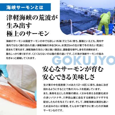 ふるさと納税 むつ市 【期間限定発送】海峡サーモン特選切身セット8切(4種8点) |  | 01