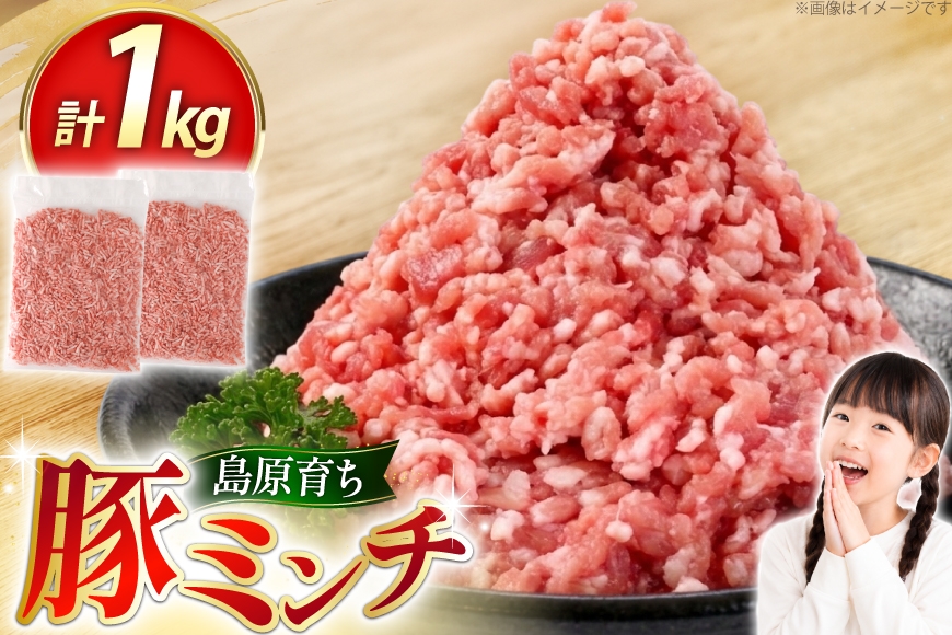 
                  AK026 豚ミンチ 500g 2パック 計1kg  [ 豚肉 肉 ミンチ ミンチ肉 小分け ぶた肉 ぶた 豚 スターゼン 長崎県 島原市 ]
                