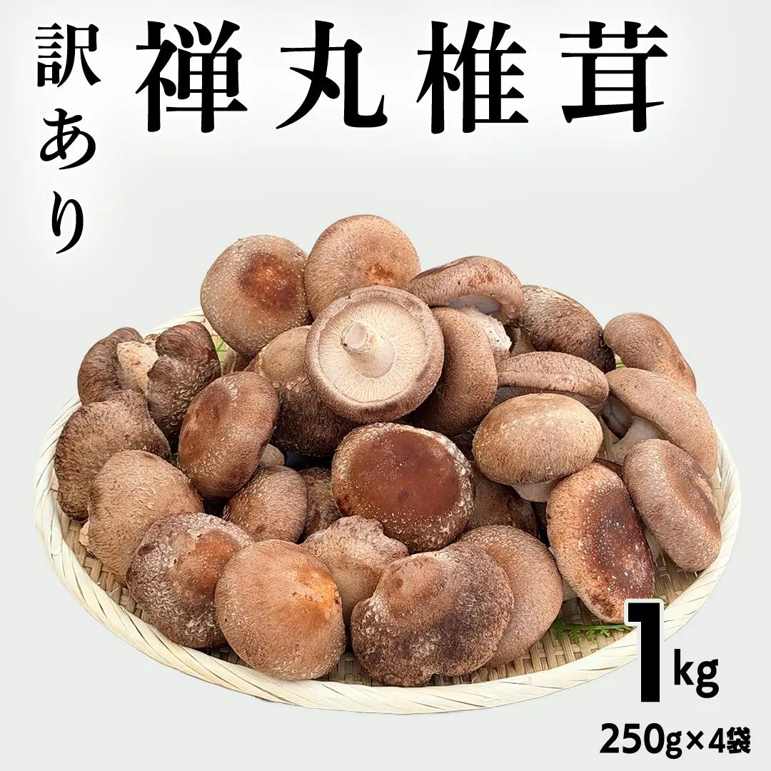 【 訳あり/不揃い 】禅丸椎茸 1kg (250g×4パック) 【岩手県紫波町産】 (FG001)