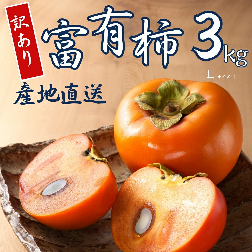 【ふるさと納税】【 訳あり 】令和8年産 富有柿 3kg Lサイズ 14個 カキ かき 果物 くだもの フルーツ 表面 キズ 色ムラ 家庭用規格 のため 訳アリ わけあり 自宅用 家庭用 岐阜県 本巣市 高橋柿ファーム 先行予約 11月中旬〜 発送予定 [mt1664] 7000円