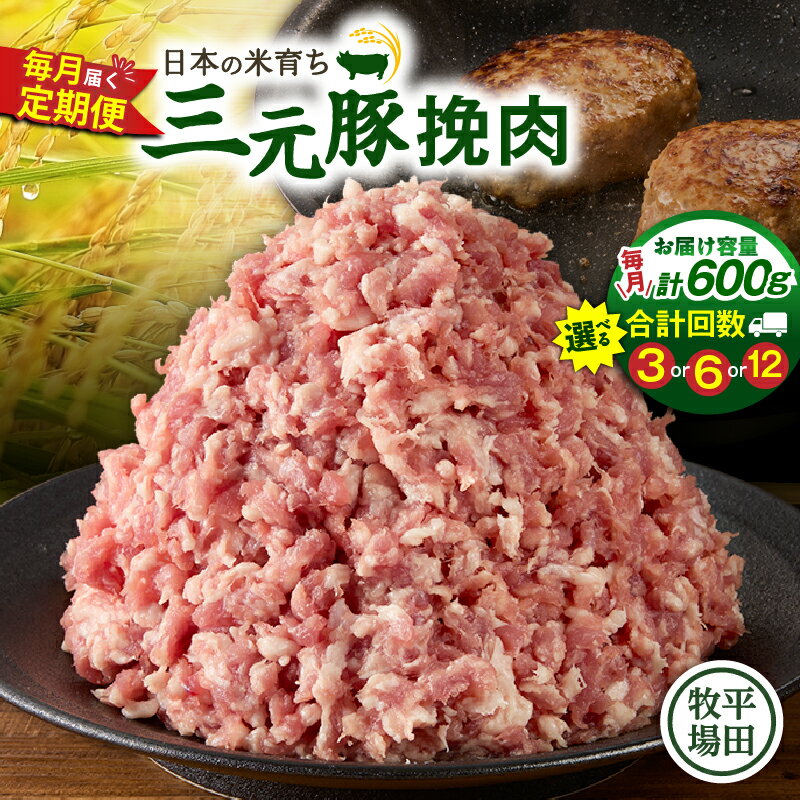 【ふるさと納税】＜選べる回数＞ 3回 ～ 12回 毎月 定期便 日本の米育ち平田牧場 三元豚ひき肉 600g 肉 豚 豚肉 三元豚 ひき肉 挽肉 ミンチ 冷凍 便利 パック 定期 平田牧場 北海道 苫小牧市 おすすめ ランキング プレゼント ギフト