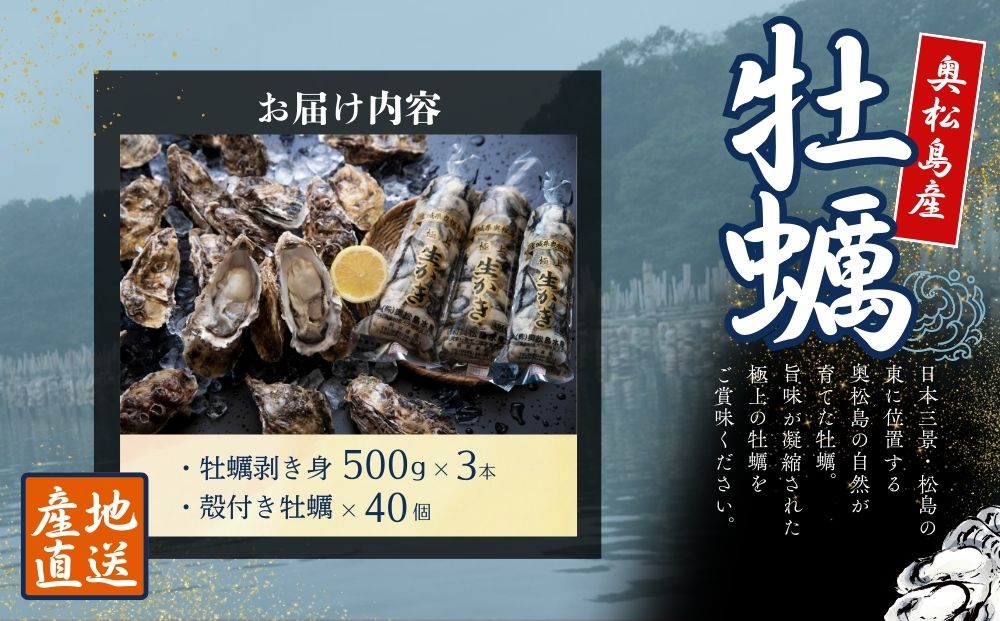 【2026シーズン受付開始！】11月中旬から順次発送予定 奥松島産 極上カキ たっぷり詰合せセット カキむき身500g×3本(計1.5kg)＋殻付きカキ40個 牡蠣 かき カキ 殻付き 剥き身