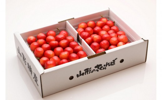 
            【2026年発送】佐藤錦　約500g×2P（L～2L）特秀　バラ詰め
          