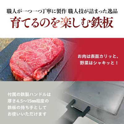 ふるさと納税 横浜市 ミニ鉄板(極)ハンドル付き〈羽咋工業〉1枚 |  | 02