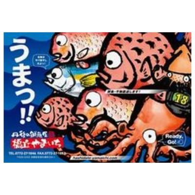 ふるさと納税 与謝野町 業務用(生)日本海産スズキ(ススキ)切り身 |  | 03