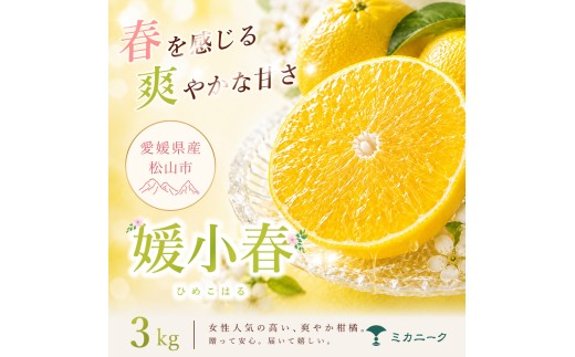 【知る人ぞ知る】 驚きの甘さ 【媛小春】 3kg 愛媛県産 【2027年1月下旬頃から順次発送】 | みかん ミカン mikan 蜜柑 訳ありフルーツ 柑橘 果物 おすすめ お勧め お取り寄せ ギフト 愛媛県 松山市