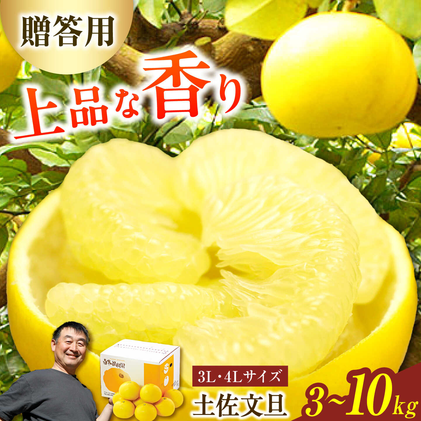 【ふるさと納税】 【先行予約】【選べる内容量】＼果樹園直送／贈答品 土佐文旦 約3〜10kg 大玉 4L〜3Lサイズ〈2027年2月中旬〜3月中旬頃発送〉 高知県土佐市【白木果樹園】[BQAI004]