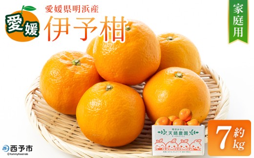 【先行予約】＜伊予柑 家庭用 約7kg＞ ご家庭用 いよかん イヨカン みかん 蜜柑 柑橘 訳あり 果物 くだもの フルーツ ミカン 愛媛 国産 7キロ ジューシー 明浜 特産品 笑丸 愛媛県 西予市【常温】『2027年1月下旬より順次出荷予定』