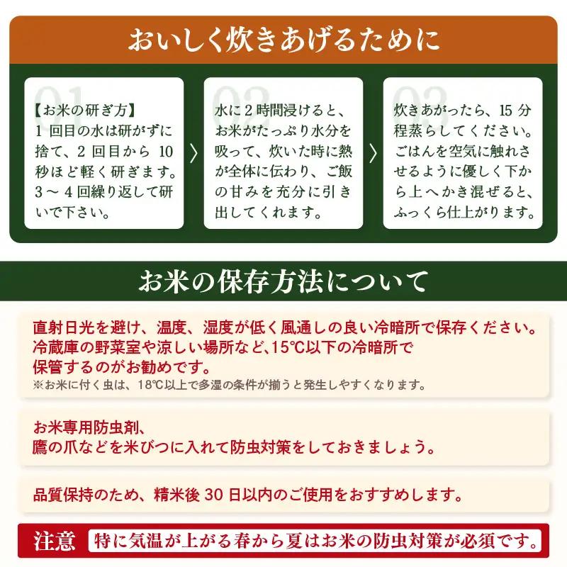 【先行予約】【令和8年産・新米】ハナエチゼン 5kg【玄米】【2026年10月中旬以降順次】 華越前 人気品種  福井県ブランド  [e26-a014_02]