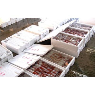 ふるさと納税 香美町 白イカ(冷凍)約1.5kg(5-13杯程度入) |  | 01