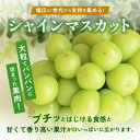 【ふるさと納税】《2025年先行予約》農園直送 濃厚 シャインマスカット 約600g(1房)【配送不可地域：離島・沖縄県】【1557593】