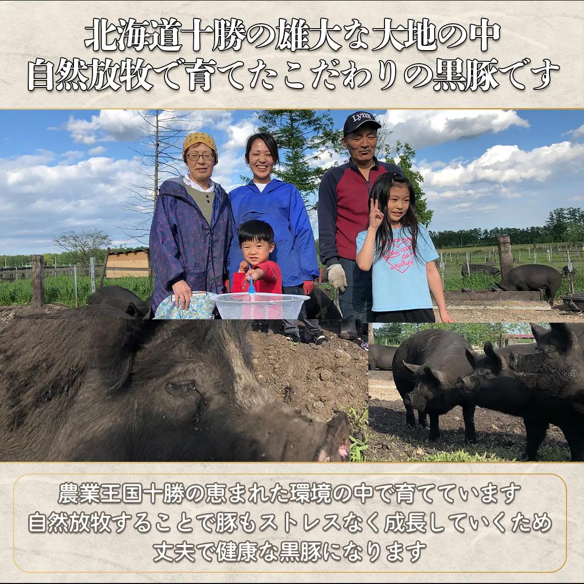 【定期2ヶ月】無添加生ソーセージ＆フランクフルトソーセージ 計1.16kg SKN102