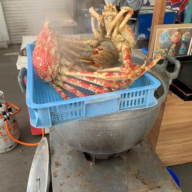 【数量限定】蒲郡産 タカアシガニの茹でたてを食べられる体験（来店型）_【G0776】